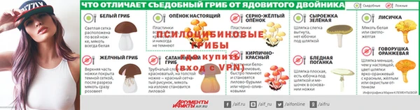 стафф Алзамай