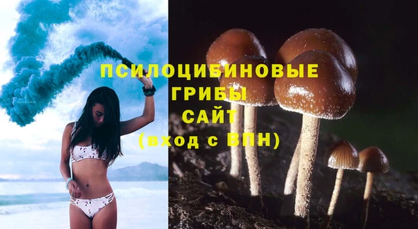 spice Абдулино